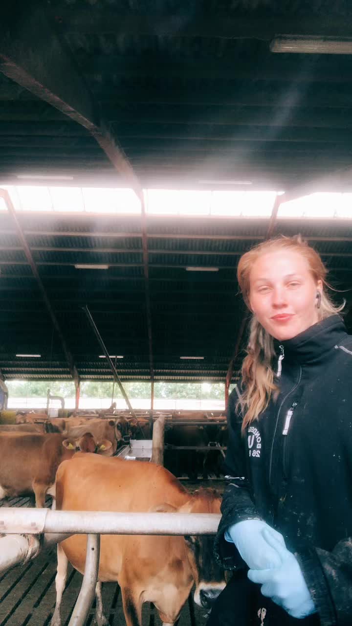 @amalie_rosenkjaer