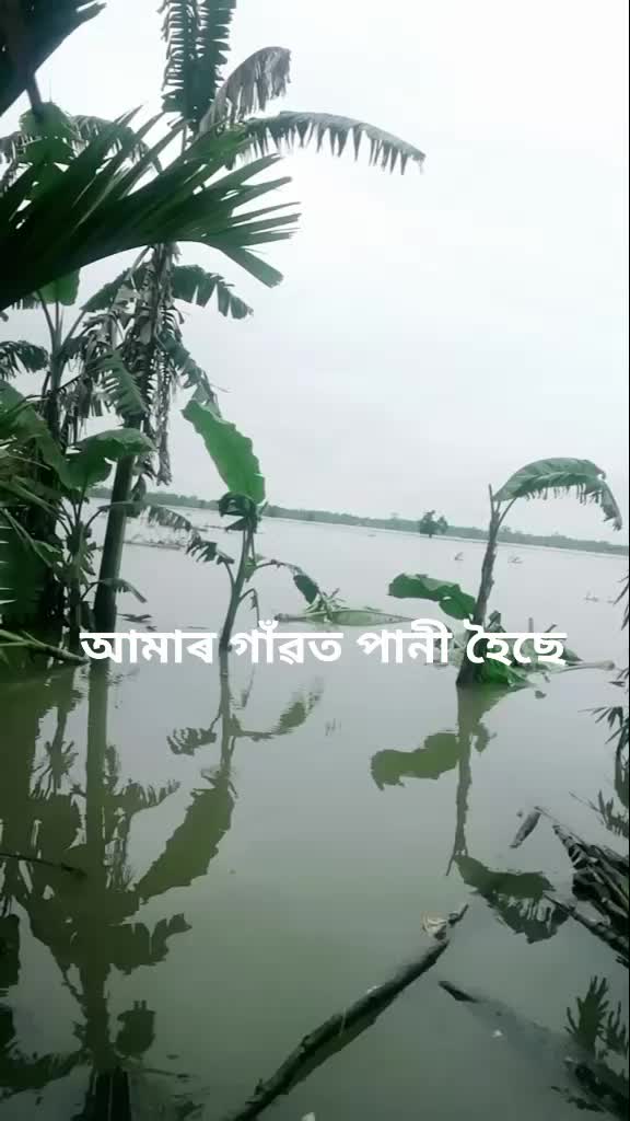 @Korobi Gogoi