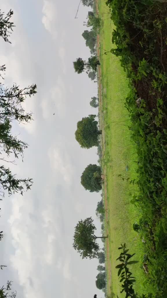 @Venkat venkat