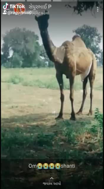 @Rutvik Desai