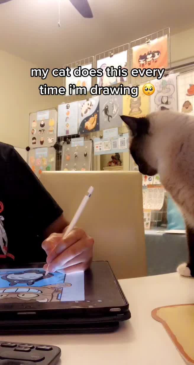 @PICAPAP