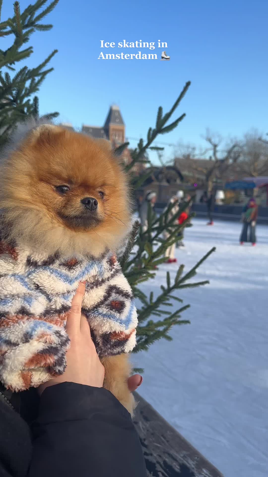 @yoshi.thepom