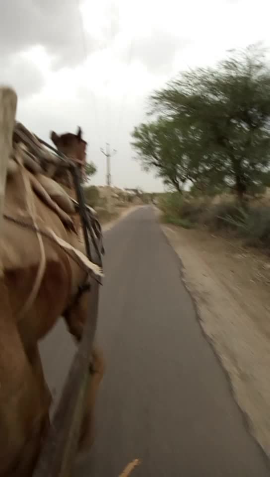 @BajaRang Jaat