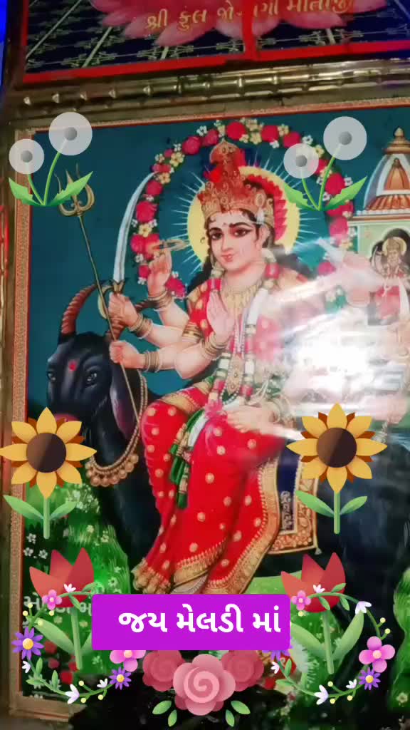 @savubhai655739સરવણજી