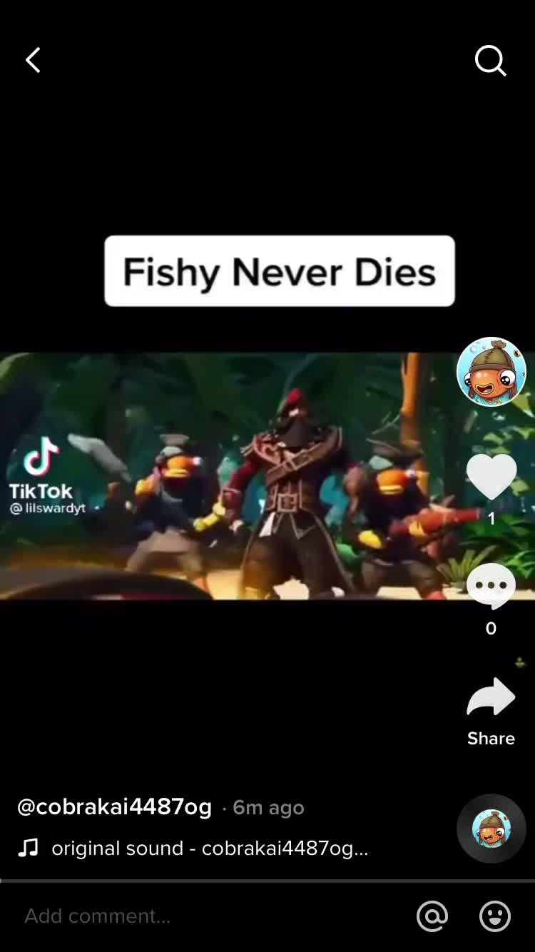 @fgstuntz