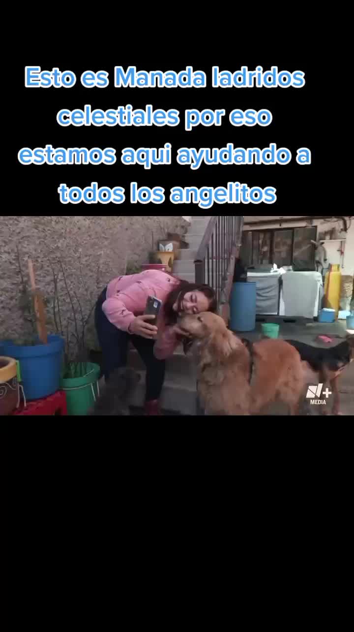 @Tani(ManadaLadridosCelestiales