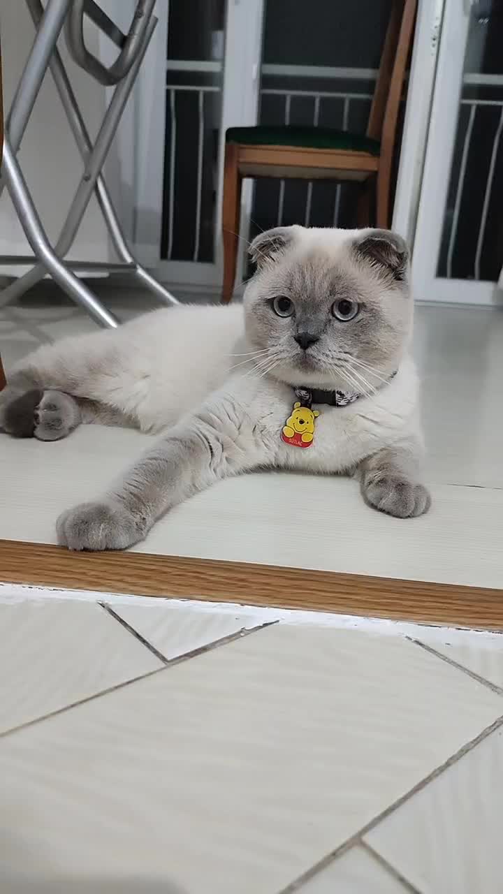 @💙SÜTLAÇ BEY💙