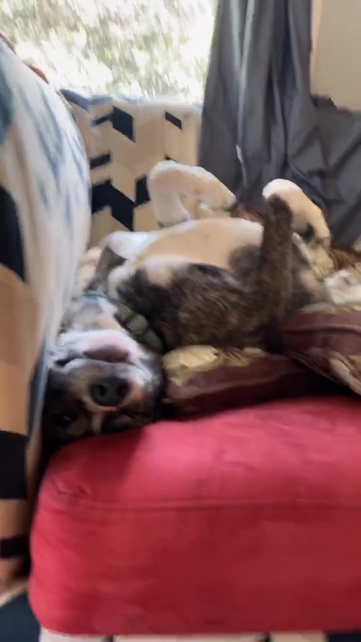 @tashaanne345