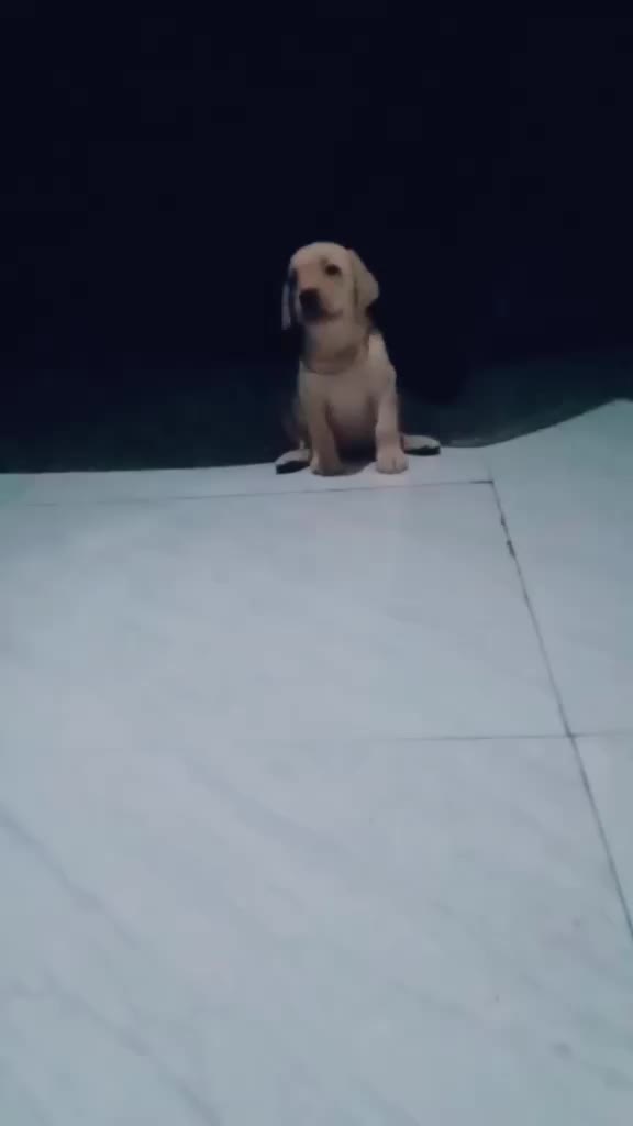 @namrata
