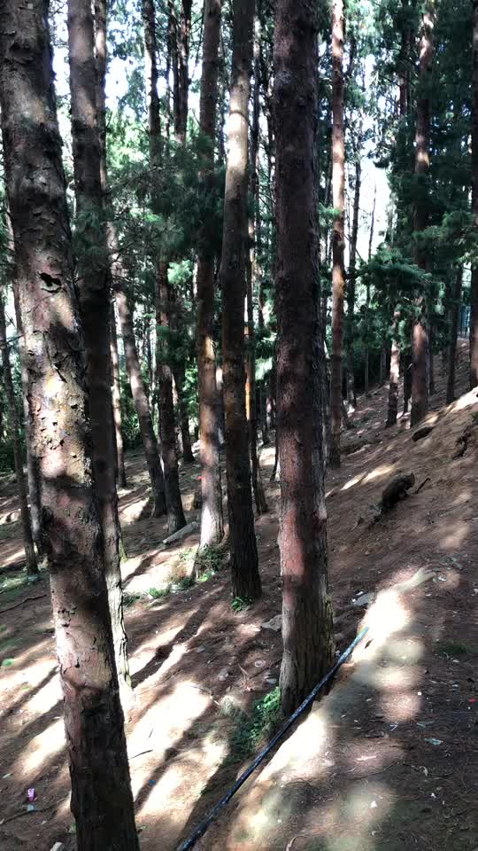 @ubaid_pilakkal
