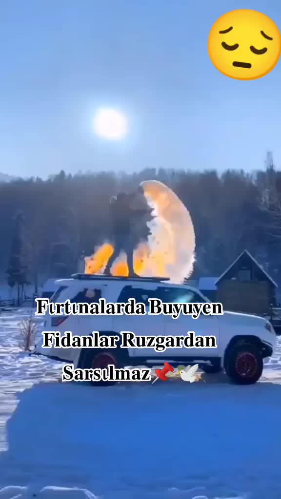 @♥️🕊️ ESMER MELEK 🕊️♥️