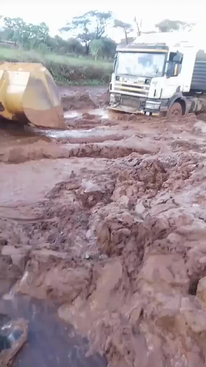 @Dan 4031