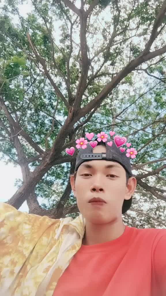 @T-T KLR JuNiOR T-T