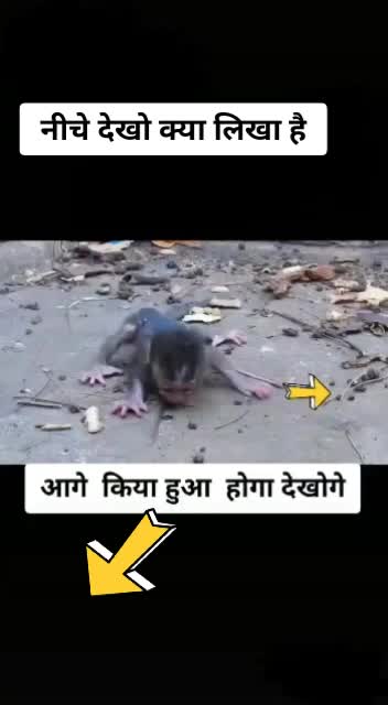 @🔥Shivam thakur 🔥