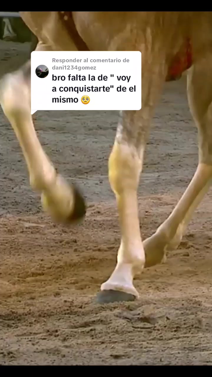 @JOAN SEBASTIAN.FANS