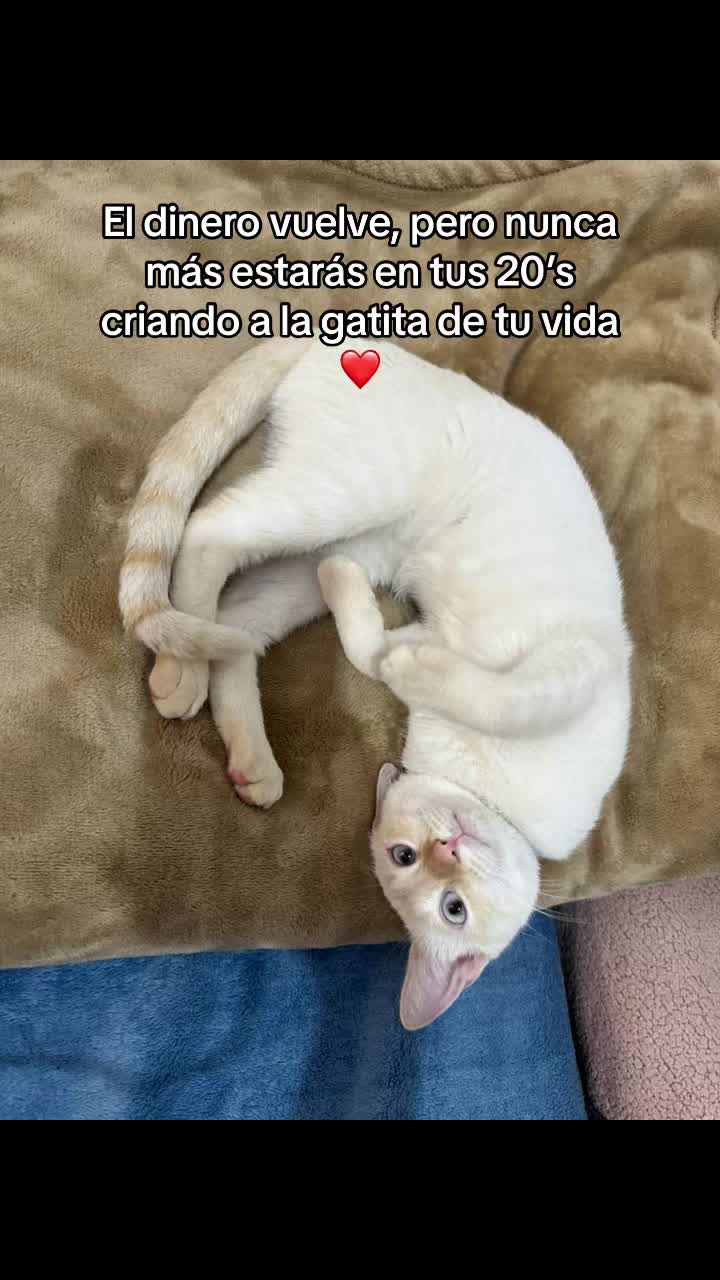 @Vanessa Villalvazo