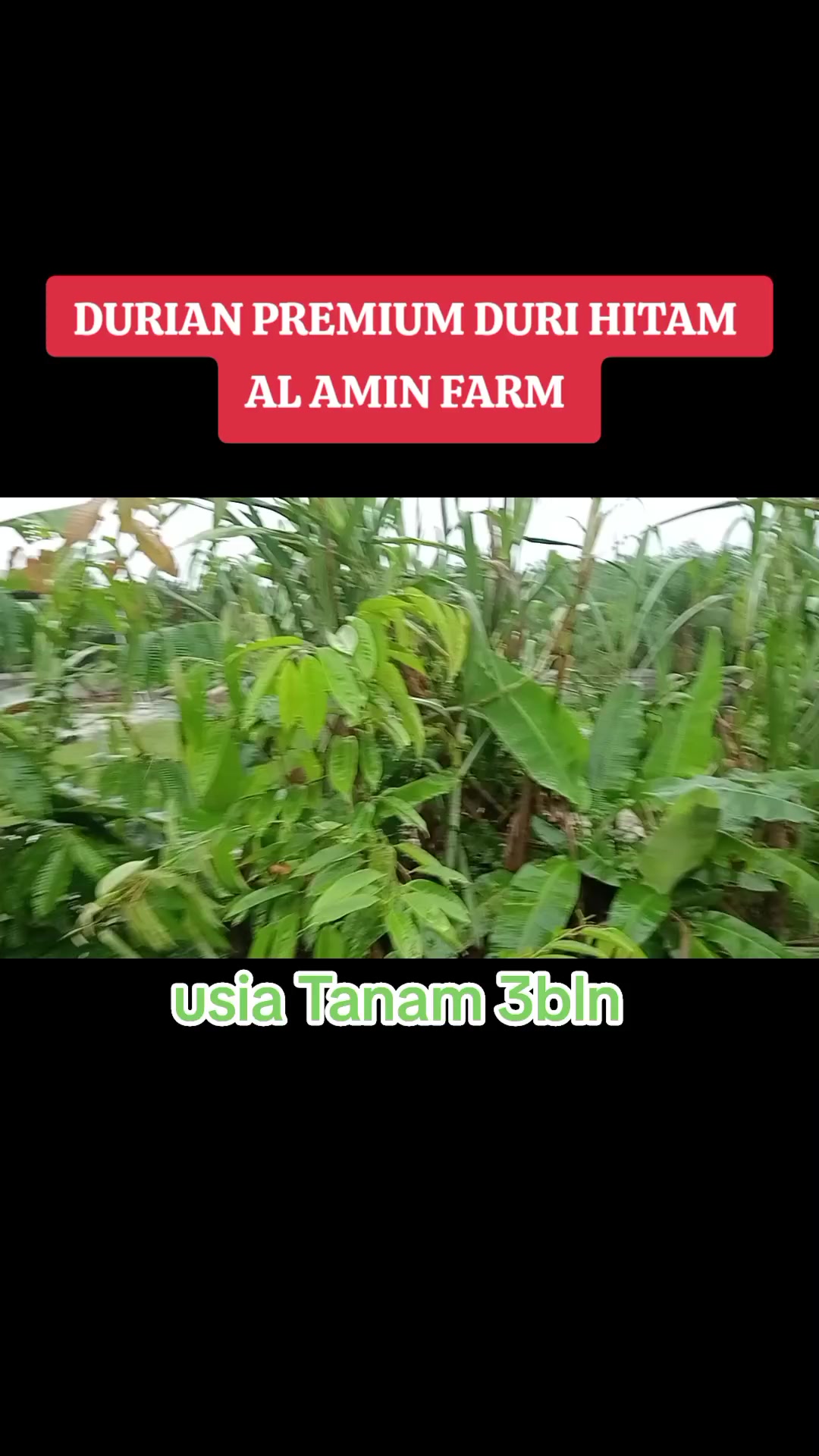 @PEJUANG keluarga ❤️