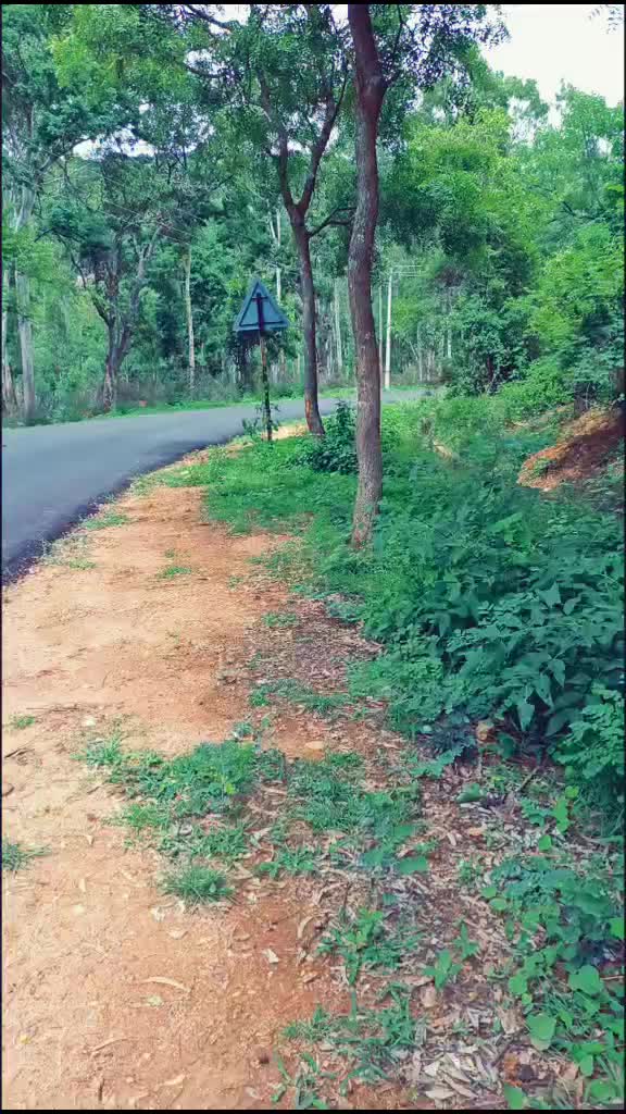 @Aççhü..😍