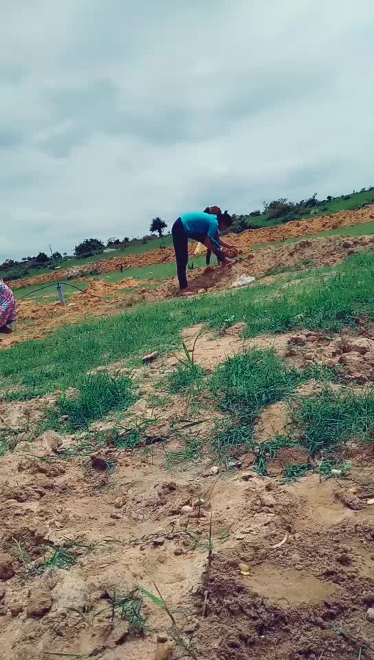 @Shambhavi shambhavi