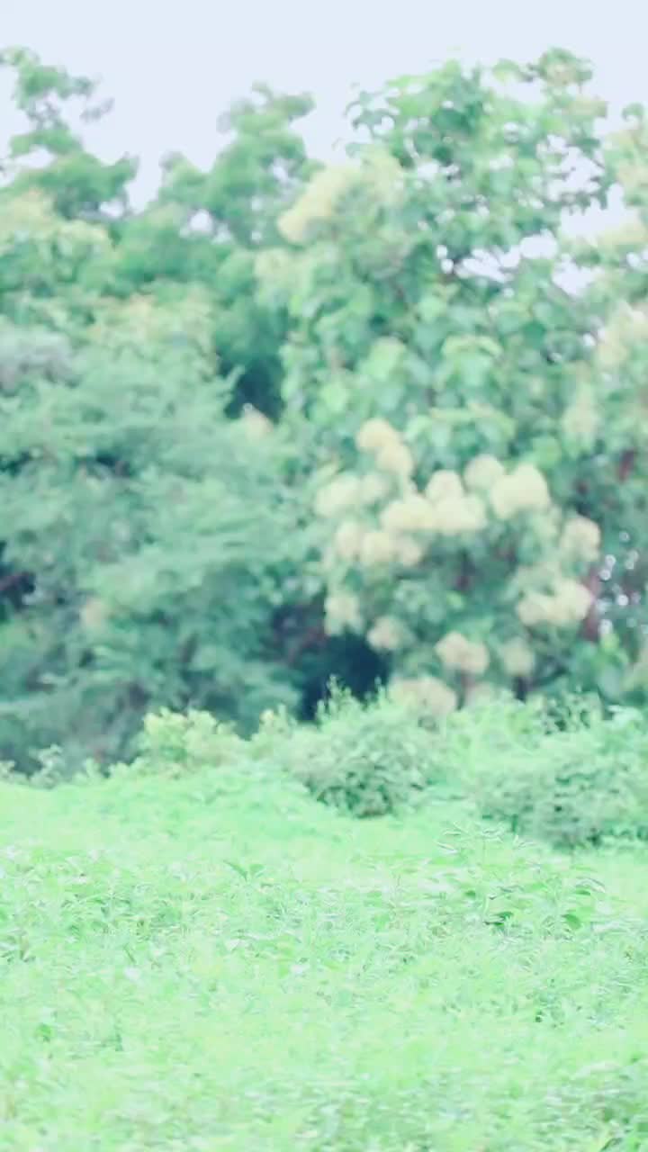 @KALYANPAWAN
