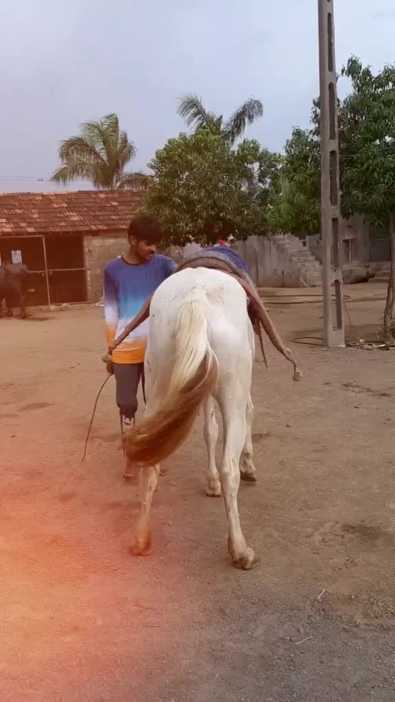 @Sohil Desi