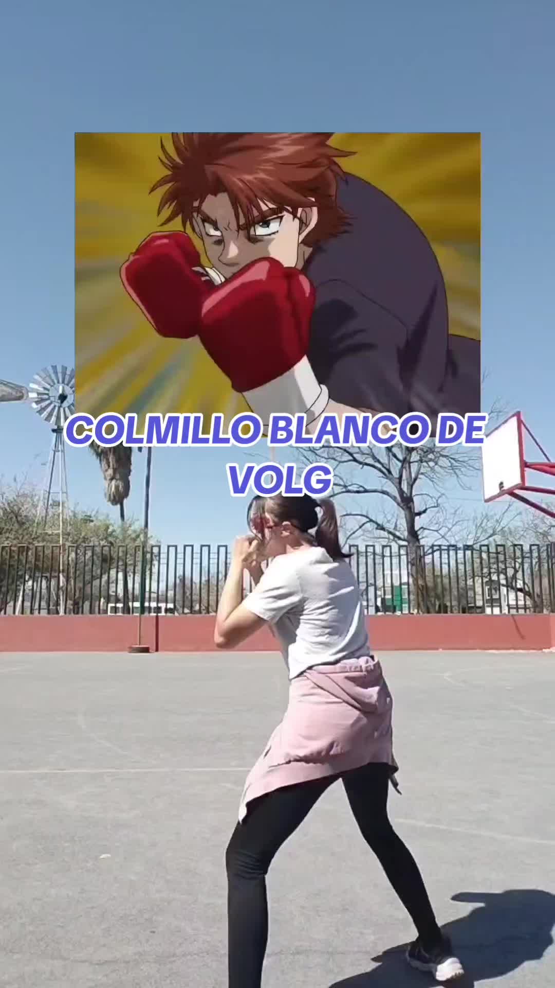 @IHIXE 🥊