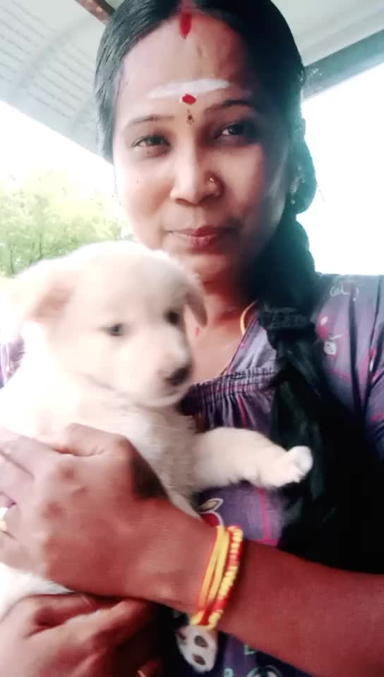 @sivinsweety