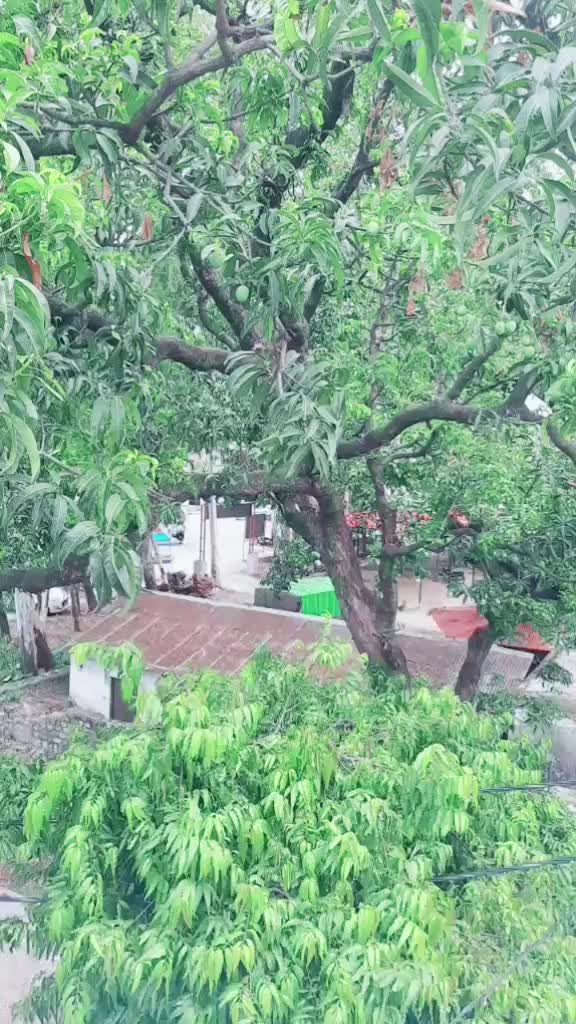 @Vishor Khasti