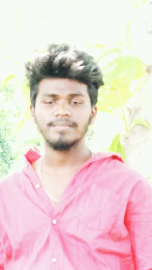 @ajjukamodel