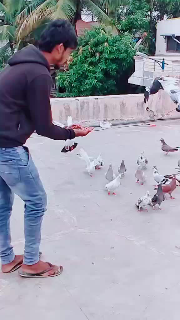 @@Đ75