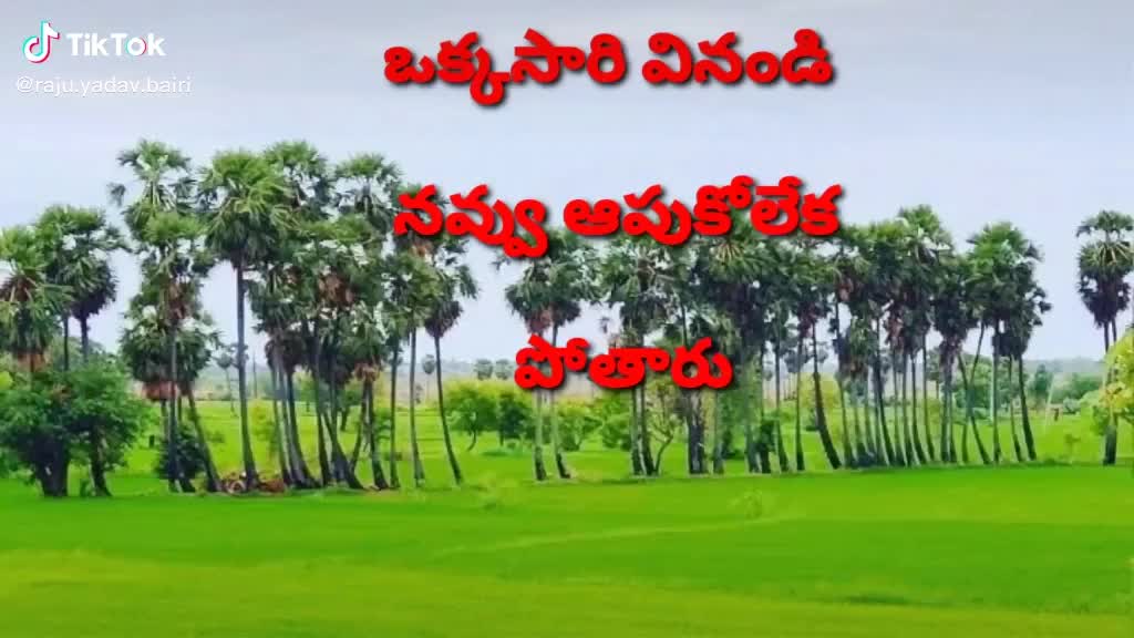 @bandi.harish