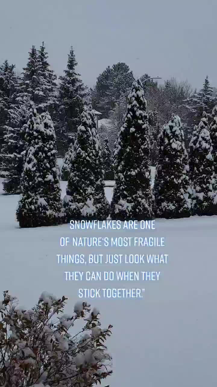 @💐 Life In Curious Words