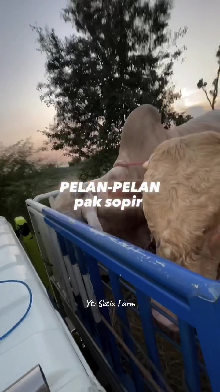 @Setia Farm