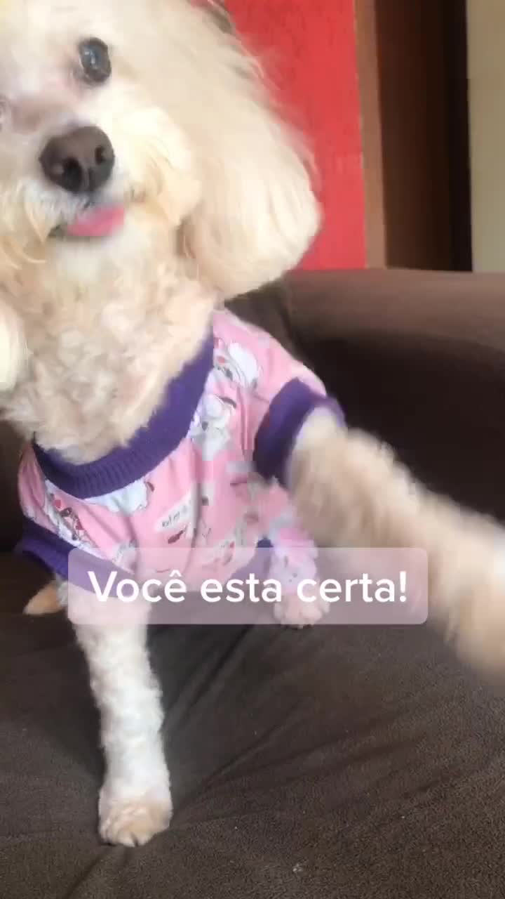 @Bella Maria