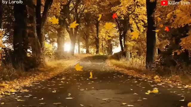 @Rathoreji