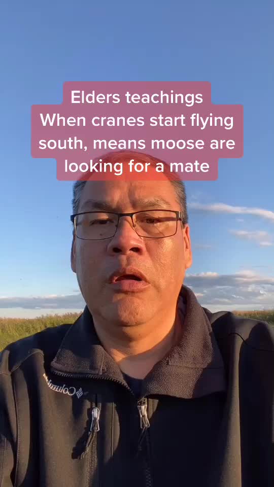 @Madmoose62101