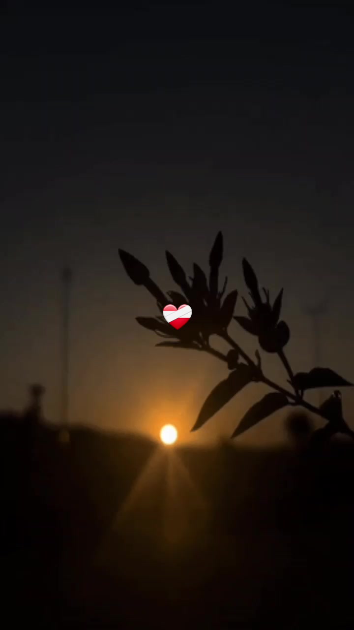 @❤️&zwj;🩹