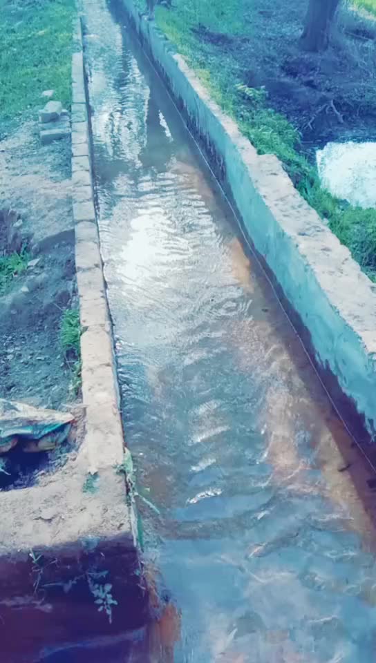 @SUKH SAAB
