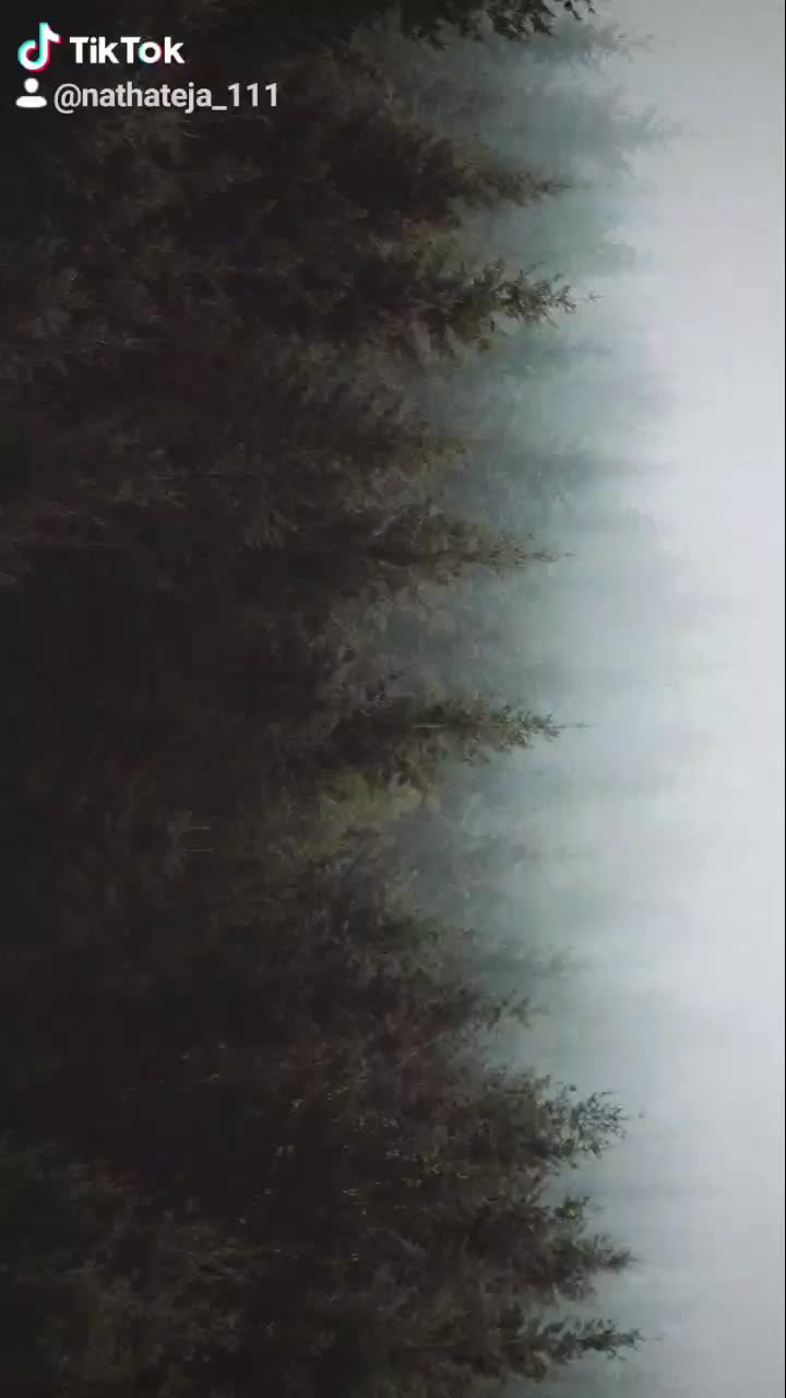 @nathateja