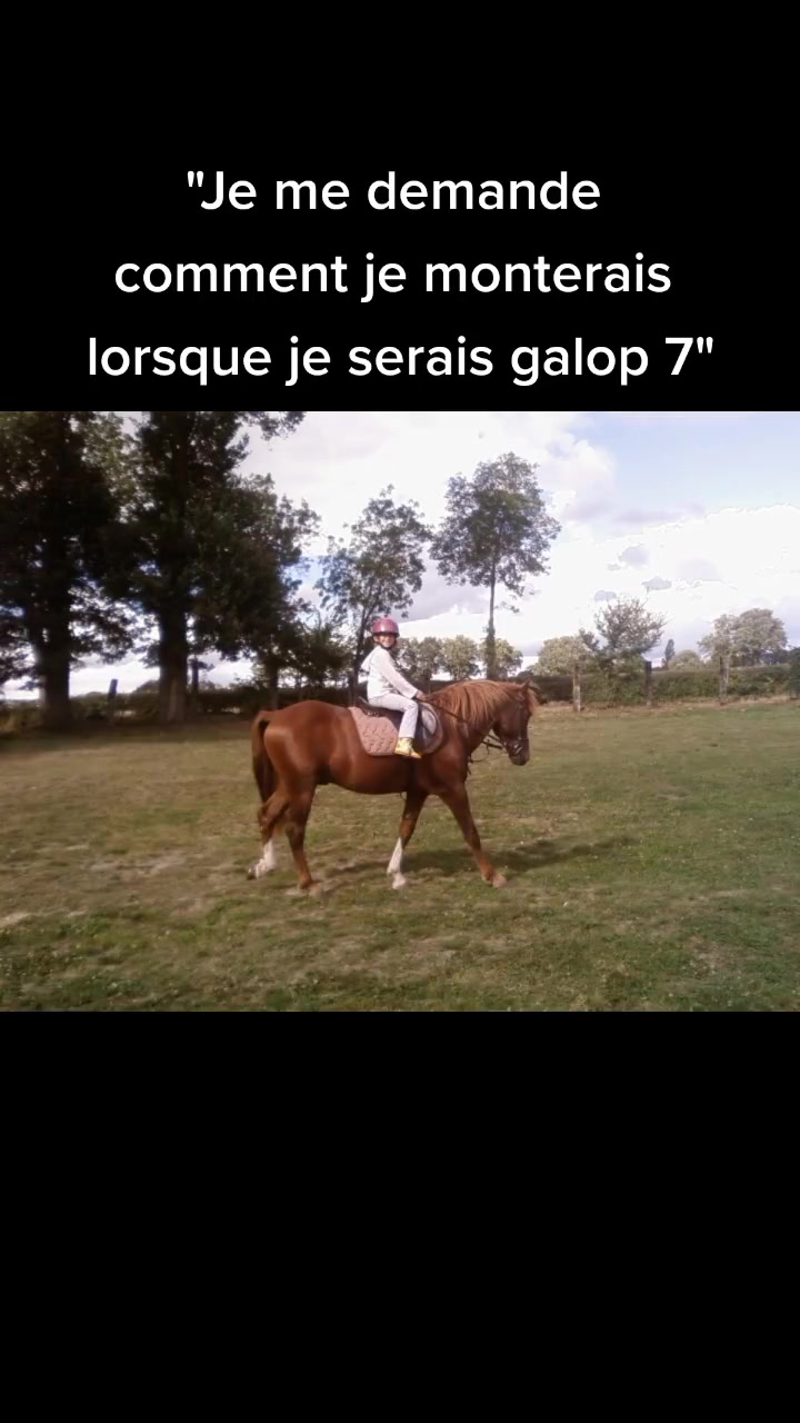 @Alicia Peignieux