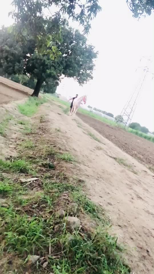@Aman Benipal