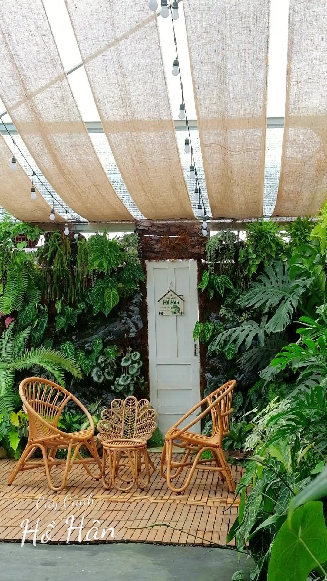 @Vườn Hồ H&acirc;n