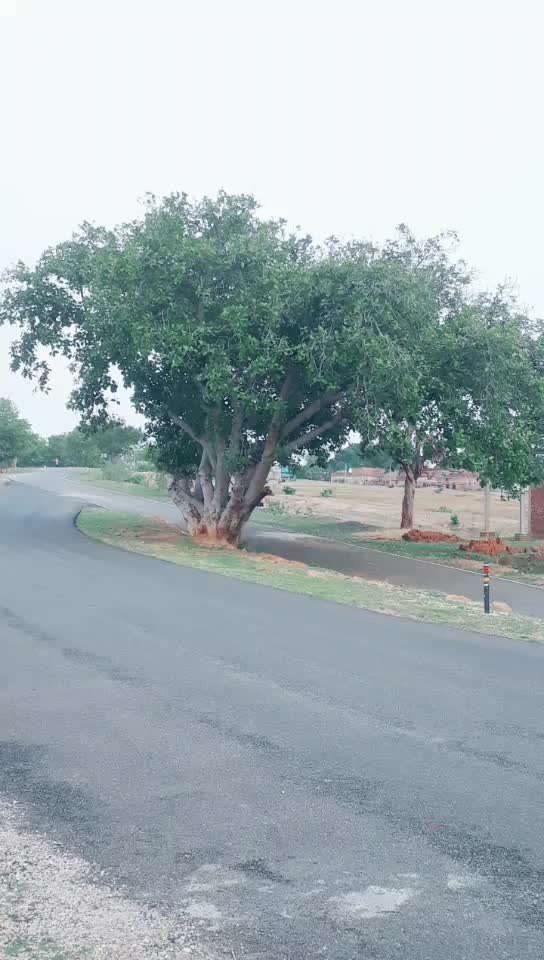 @Kaliam Ansari