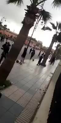@berkane49
