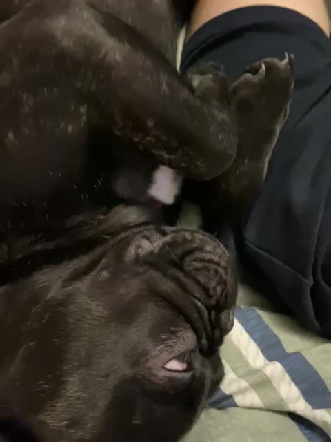 @Яна Самсонова