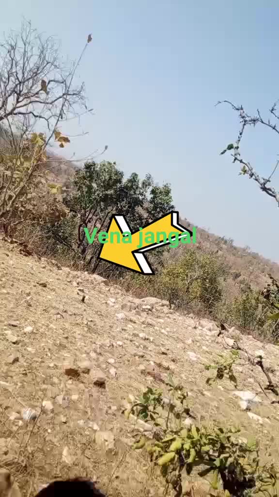 @user4248399214237