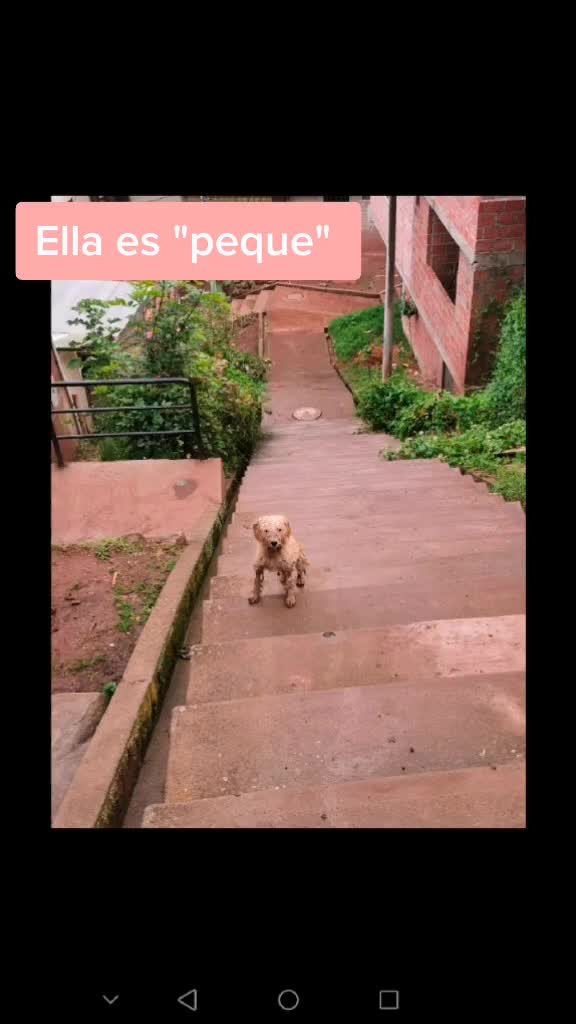 @Yammely Vargas