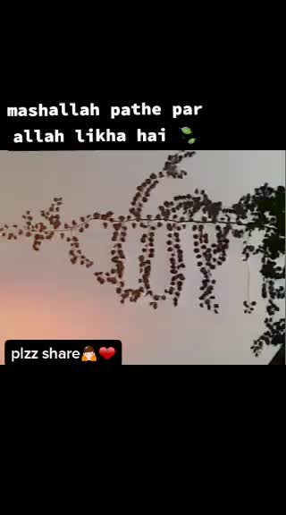@ALLAH❤