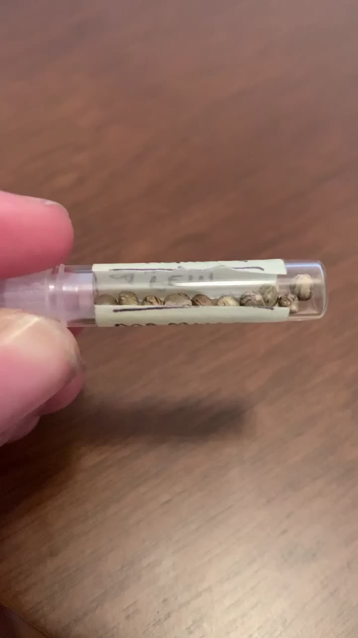 @Hembra Genetics