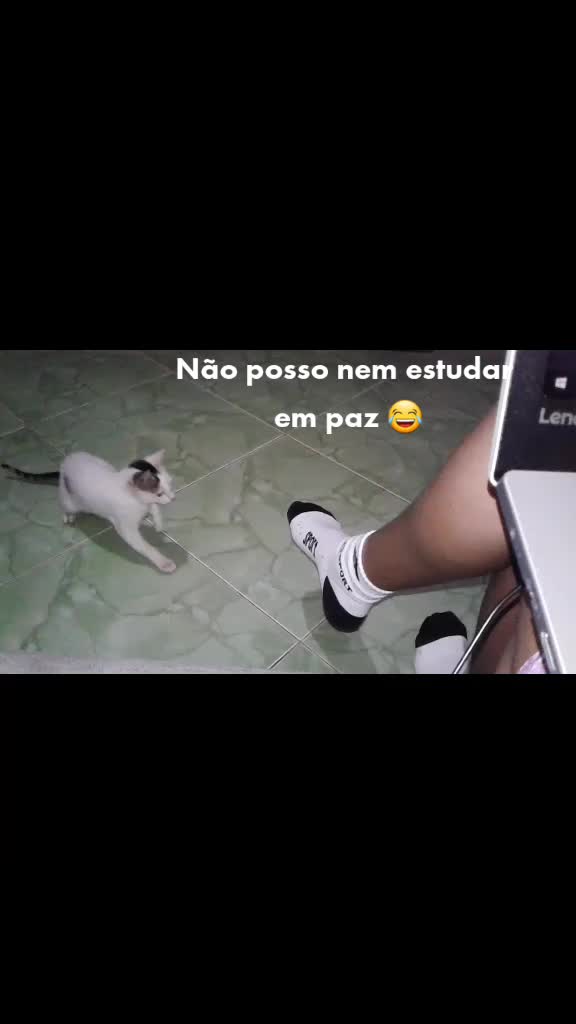 @Valdirene Silva